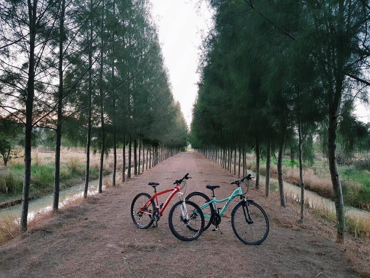Xaiyong Resort - ไทรโยงรีสอร์ท บุรีรัมย์ ภายนอก รูปภาพ